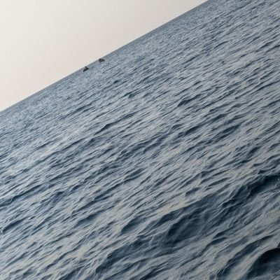 MuchiriKristin's profile picture. 