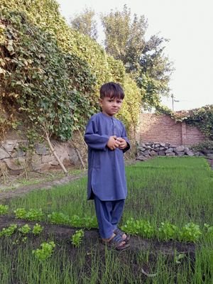 laghmani2013's profile picture. 