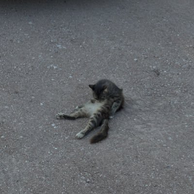 vinny_323's profile picture. 