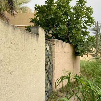 hamdalzhrany3's profile picture. 