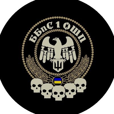 bbps_1oshp's profile picture. Батальйон безпілотних систем в складі 1-го  окремого штурмового полку Сухопутних військ, ЗСУ