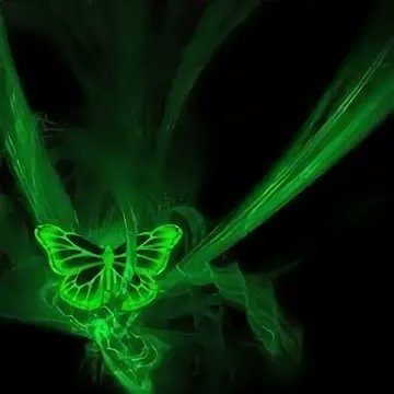 SamanthaNe19017's profile picture. 