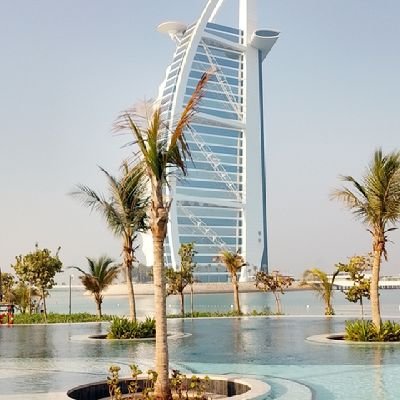 TibahTikum41416's profile picture. xdc xrp XML hbar wikicat ocicat defitiger crepe xpin holding 500$ worth each in all this projects then know the  bull run is already in your house 🏡