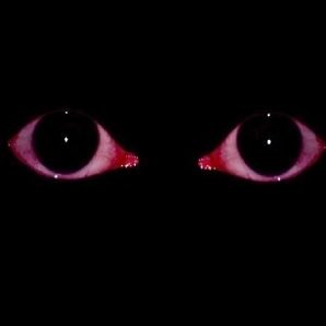 jaymaaesther's profile picture. cha de revelação chamada de vídeo