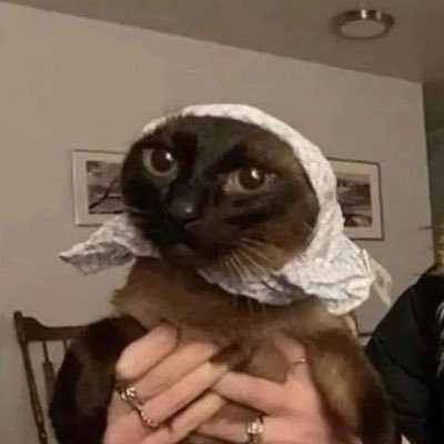 premestrualSynd's profile picture. 