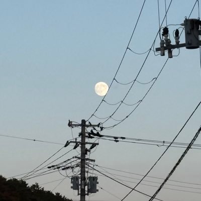 Chape_cos13's profile picture. 好きな物に溺れたい 実は始めたミラティブ配信