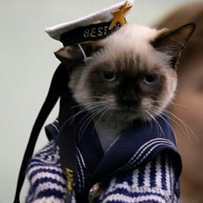 kingromonov's profile picture. samaypaglu