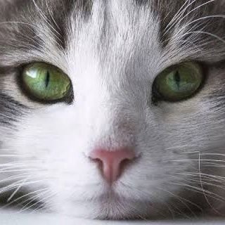 happylovelyjuri's profile picture. 趣味はピアノや沼堕ち中国ドラマ鑑賞♪他SNSで主にQ情報を追随！Ｘはこれからどうしようかな～…。『コスタイベ』注意喚起、デトックス推奨。ソフトタイムラインに変わったらしいです。どうぞ、いつもHAPPYで♡♡♡