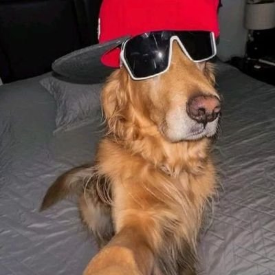 bds_jenni's profile picture. Só uso isso aqui para reclamar e ferir direitos humanos.