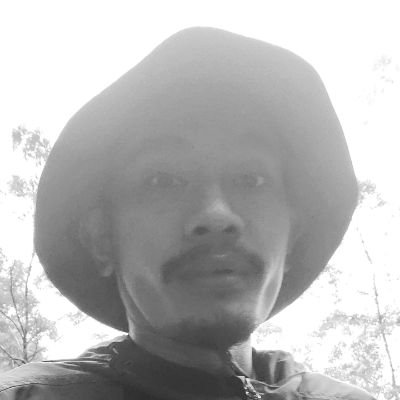 habibash4's profile picture. 