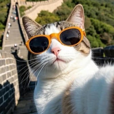 laiserob's profile picture. Bait folders and bait services available, hit me up @ https://t.co/of94aVEf5E