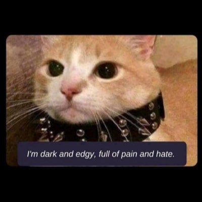 Herr_Lennox's profile picture. 