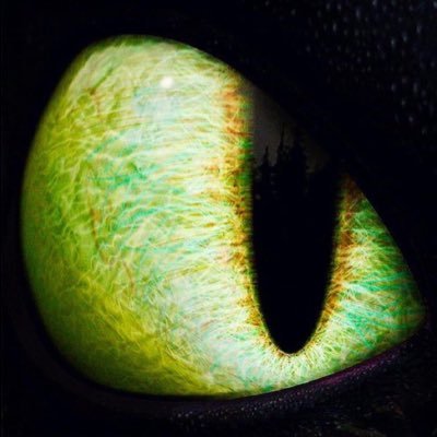 Maestroun67's profile picture. 👀#bitcoin Marseille🩸STAKE ID(): Nostra1313