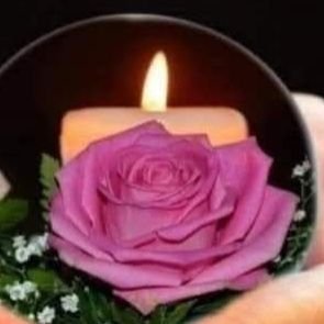 rezanRezan44681's profile picture. 