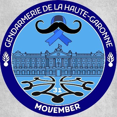 Gendarmerie_031's profile picture. Compte officiel de la Gendarmerie de la Haute-Garonne.