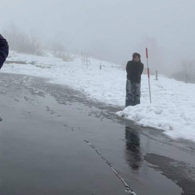 Lisa121225's profile picture. LiSA、えなこ、原神、ぶいすぽっ(藍沢エマ)、車、ハミクマ