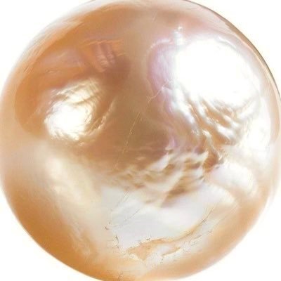 strawbilus's profile picture. AI free interactive threads & food polls | suggestions ok