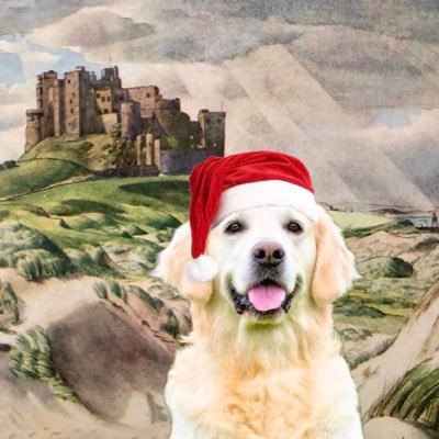 AngloCeltoid's profile picture. Silly Goose Nationalism 🪿