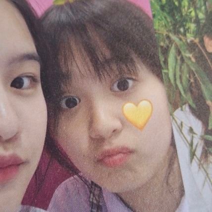 n26sept's profile picture. (•◡•)