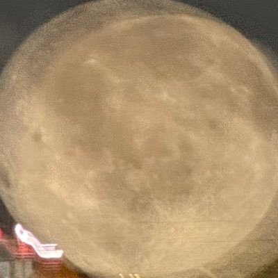 checkcheck_12's profile picture. 