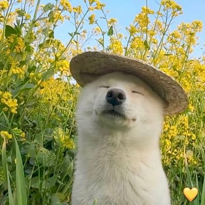 1rythme's profile picture. 