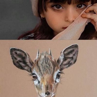 Nwrh72356's profile picture. 