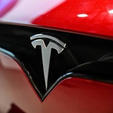 Elonprivate8769's profile picture. 