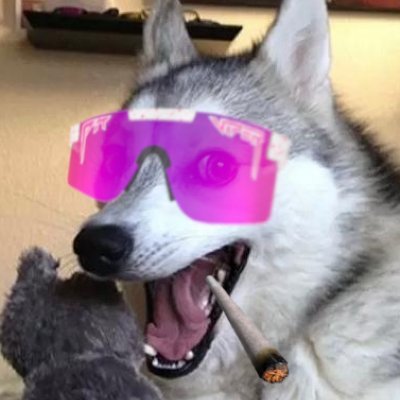 janitor5921500's profile picture. 