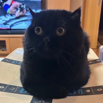 ssssss116259363's profile picture. 