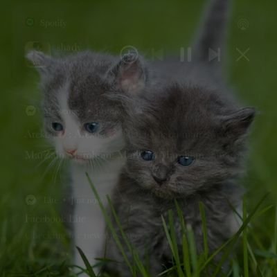 k94282's profile picture. 