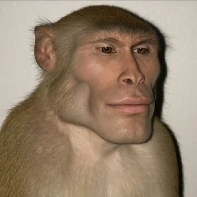 octo1170538's profile picture. 