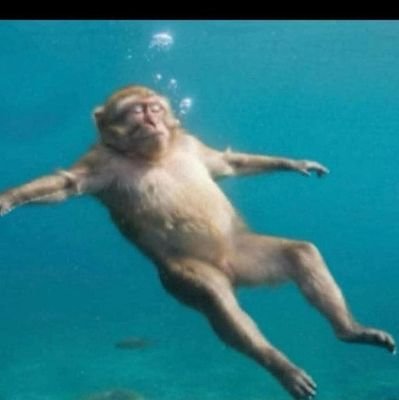 Wisey244's profile picture. 