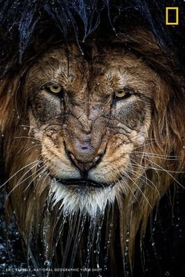 rllumpkin36's profile picture. 