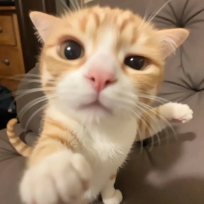 TaylorS85664959's profile picture. 