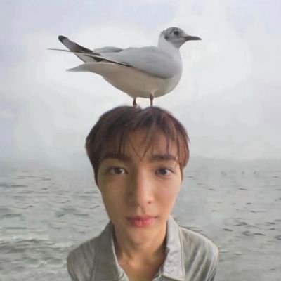 kkeonnho's profile picture. #cortis only #hidupcelanamelorot #keonhoschairmate