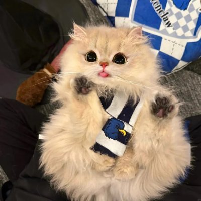 Thea98756's profile picture. 