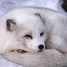 ReactNextJS's profile picture. 怖いですよね、怖いですよねぇ