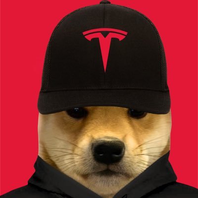 WIFforLife's profile picture. $WIF is going to $10 in 2025 🐶🐶