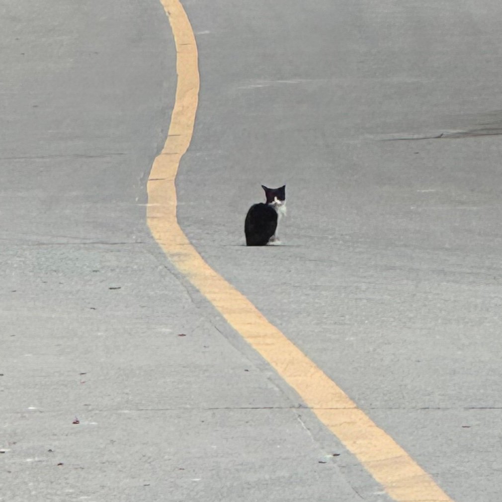 Nfjfbcbck's profile picture. 