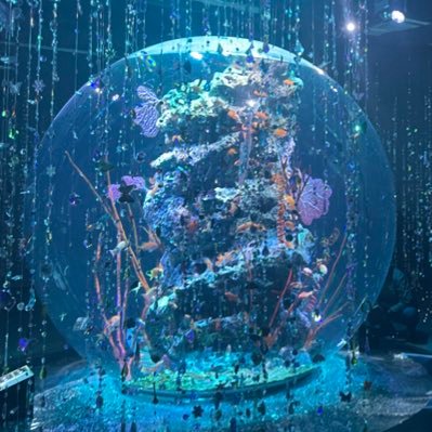 earlgray0506's profile picture. 20↑｜腐｜日狛｜左右固定 煩悩10割アホオタク