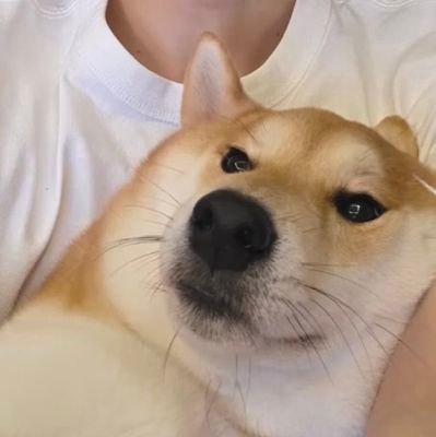 natchnainine's profile picture. strong heart strong mind strong body 👾
can use my vid / trans with credit me