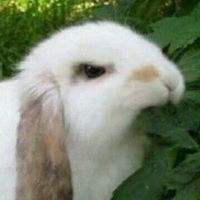 jagsimsami54416's profile picture. 