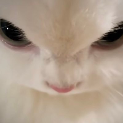 sayaa_pochhp's profile picture. 