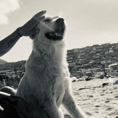 kortacarton's profile picture. https://t.co/HGw57lTsoM