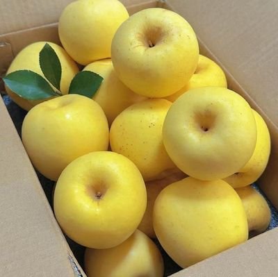 Views_Nature2's profile picture. fruit and vegetables only