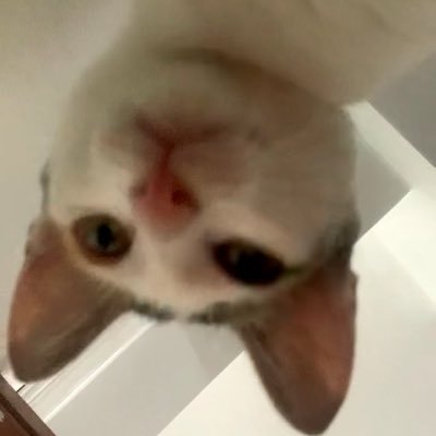 anh118215241's profile picture. 