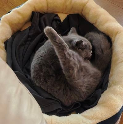 guanglinta's profile picture. 中文/ENG    /20＋/ 成分复杂……