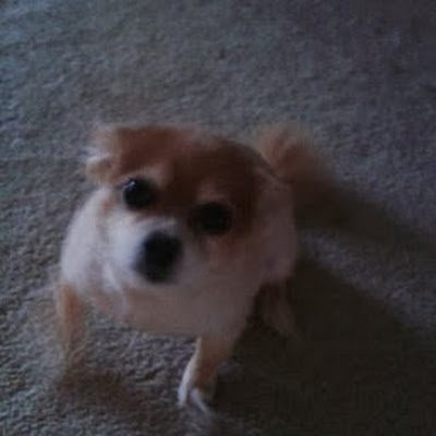 mikethomas32283's profile picture. 