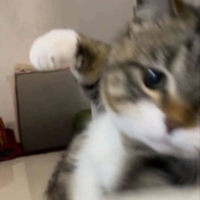 fuckyoudairy's profile picture. オラァ！