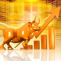 Charlotte (@timmycray) 's Twitter Profile Photo